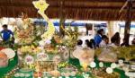 Tổ chức 