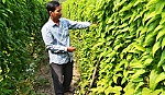 Xã Phú Mỹ: Niềm vui 