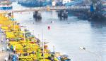 Đường hoa trên bến sông