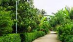Huyện Cai Lậy: Tăng cường bảo đảm TTATGT trên các tuyến đường nông thôn