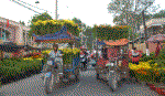 Nhộn nhịp phiên chợ hoa Xuân ngày cuối năm
