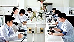 Trường ĐHTG: Đổi mới phương pháp dạy và học theo hướng hiện đại