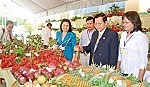 Tập trung phát triển nông nghiệp đi vào chiều sâu theo hướng bền vững