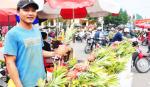 Đất cũ đãi người mới