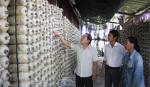 Tân Hòa Thành: Đồng hành cùng thanh niên trong phong trào lập thân, lập nghiệp
