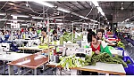 Huyện Cai Lậy: Các doanh nghiệp hoạt động trở lại sau tết