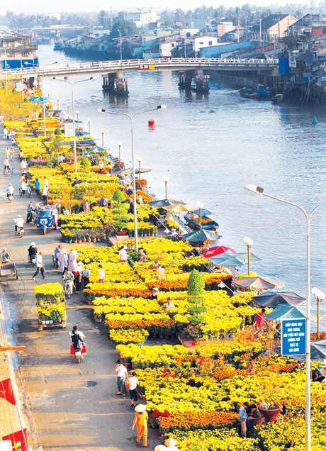 Ảnh: Duy Nhựt