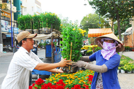Khách mua hoa tại Chợ Hoa Xuân Ất Mùi 2015.