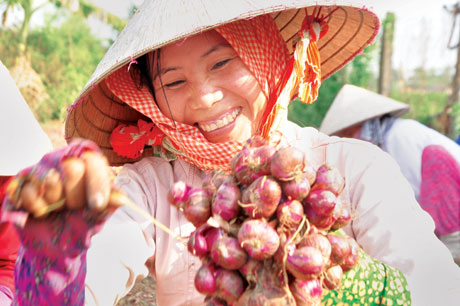 Niềm vui được mùa củ hành tím của người dân ở xã Tân Điền.