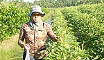 Vươn lên nhờ nguồn vốn của Hội