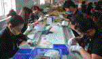 Hỗ trợ vốn cho doanh nghiệp đổi mới công nghệ, thiết bị