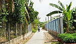 Chi bộ ấp 4: Điển hình trong phong trào thi đua dân vận khéo