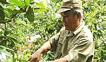 Hội CCB huyện Cái Bè: Các phong trào thi đua đạt hiệu quả cao