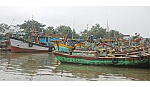 Dồn sức cải hoán, đóng mới tàu cá