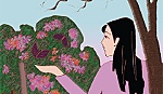 Mùa bông giấy ra hoa