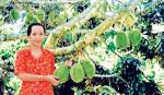 Về thăm 