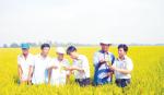 Đảng bộ TX.Cai Lậy: Tập trung tổ chức thành công Đại hội Đảng các cấp