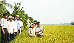 Mỹ Phước Tây: Rút ngắn thời gian về đích xây dựng nông thôn mới