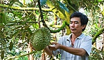 Long Trung: Nỗ lực đổi mới nông thôn