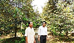 Ông Dương Văn Đây: 