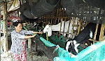 Mục tiêu giảm nghèo đã về đích sớm