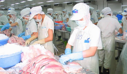 Ảnh minh họa. Ảnh: Như Lam