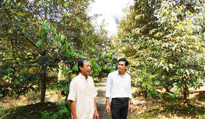 Ông Dương Văn Đây (bên trái) trao đổi kỹ thuật chuyên canh sầu riêng với cán bộ Hội Nông dân xã.                        