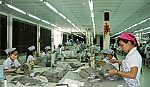 Nhiều hoạt động hướng về cơ sở  trong 
