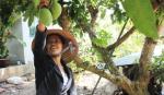 Chị Nguyễn Kim Bắc: Giỏi việc hội, đảm việc nhà