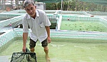 Những người âm thầm làm theo tấm gương của Bác