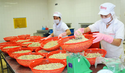 Sản phẩm thủy sản xuất khẩu của GODACO.