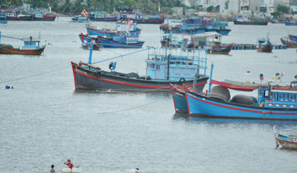 Ảnh minh họa. Ảnh: Như Lam
