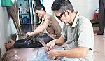 Bài 1: Mưu sinh trong bóng tối