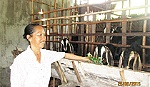 Nữ bí thư chi bộ điển hình