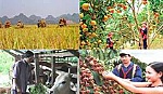 Chính sách tín dụng mới phục vụ phát triển nông nghiệp