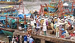 Vàm Láng - thị trấn vùng biển chuyển mình