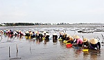 Khám phá cồn, bãi ven biển Gò Công