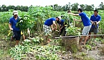 Thực trạng người nghiện ma túy hiện nay: Nguyên nhân và giải pháp