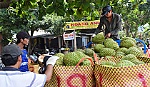 Bài 3: Bước thăng trầm của 