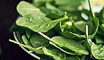14 thói quen ăn uống giúp bạn sống thọ