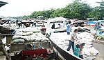 Xuất khẩu nông, thủy sản tiếp tục gặp khó