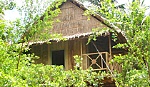 Nghỉ dưỡng 