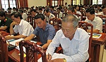 Triển khai Luật Phá sản và Luật Thi hành án dân sự (sửa đổi)