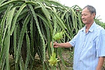 Phấn đấu đưa Chợ Gạo trở thành vùng kinh tế-đô thị trung tâm của tỉnh