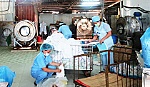 Những người lặng thầm nơi bệnh viện
