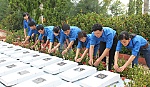 Thiêng liêng đạo lý  