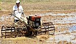 Giải pháp phát triển sản xuất bền vững cho vùng Ngọt hóa Gò Công