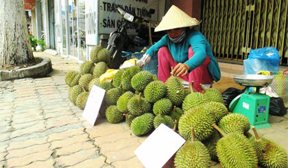 Nhiều người dân mang trái cây từ vườn ra bán trên vỉa hè ở nhiều tuyến đường tại TP. Mỹ Tho (Ảnh chụp tại đường Lê Thị Hồng Gấm).