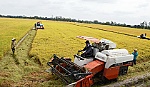 Cai Lậy: Sức vươn lên của huyện thuần nông