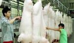 Không để thực phẩm kém chất lượng lưu thông trên thị trường
